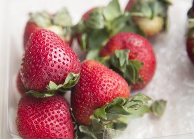 çilek yakın çekim