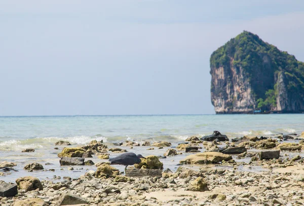 Rotsachtig strand — Stockfoto