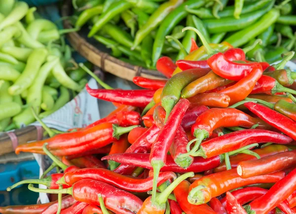 Chilli papričky — Stock fotografie