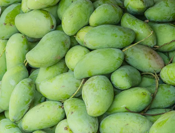 Grön mango Stockbild