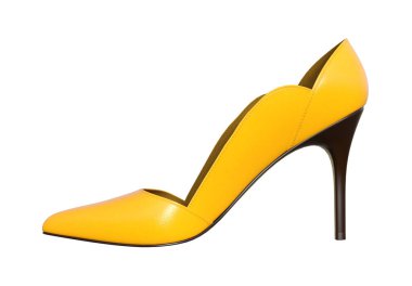 Yüksek topuklu kadın ayakkabısı, stiletto, üç boyutlu resim.