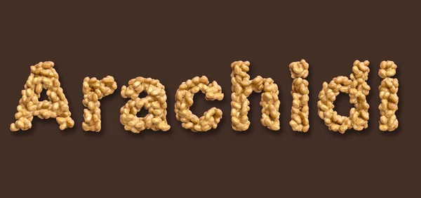 Alfabeto Arachidi Palavra Italiana Para Amendoins Ilustração Design Logotipo Letras — Fotografia de Stock