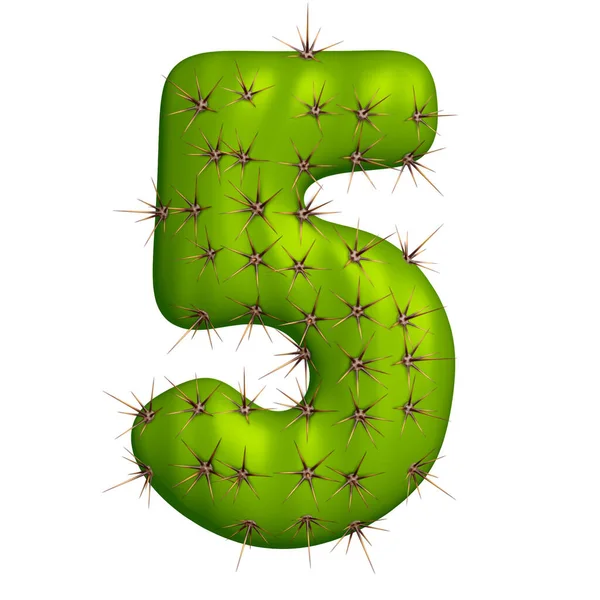 Número Cinco Feito Cacto Ilustração Alfabeto Verde Sobre Fundo Branco — Fotografia de Stock