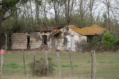 flamingos at sunset Camargue 2025