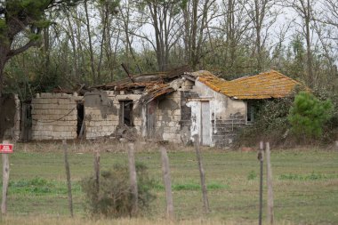 flamingos at sunset Camargue 2025