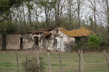 flamingos at sunset Camargue 2025