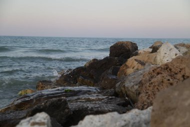 Suda pembe flamingolar