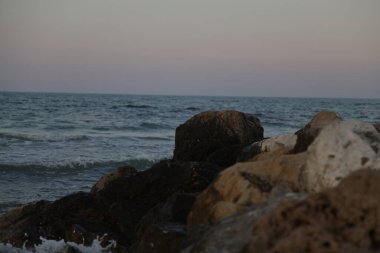 Suda pembe flamingolar