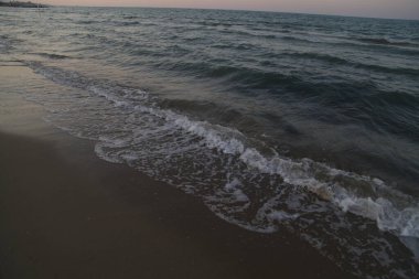 Suda pembe flamingolar