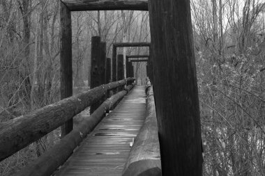 Parktaki nehrin üzerindeki köprü.