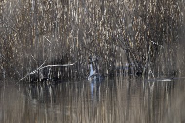 Doğanın güzel manzarası