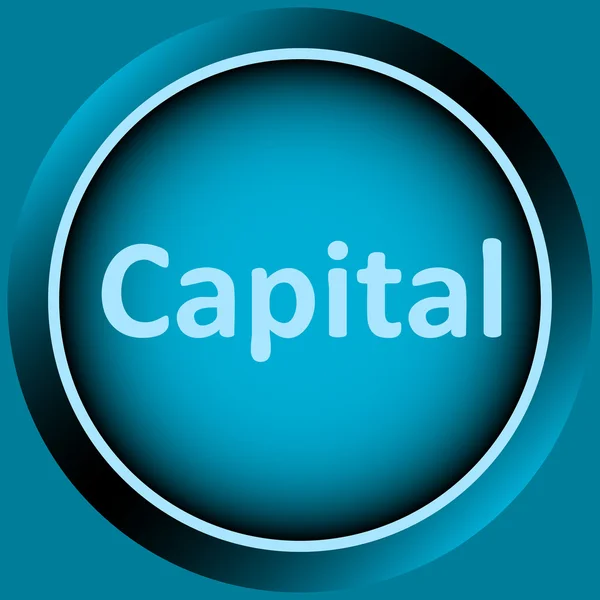 Icono botón de capital — Vector de stock