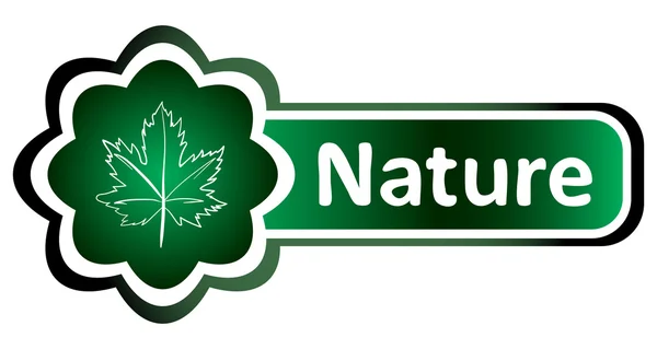 Διπλό εικονίδιο φύλλο πράσινο της φύσης — Διανυσματικό Αρχείο