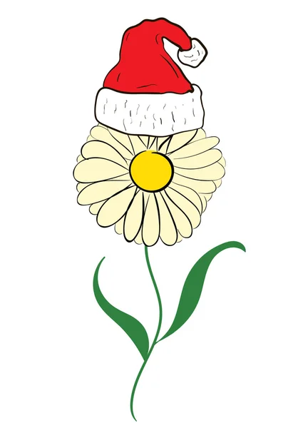 Manzanilla de Navidad en una gorra — Vector de stock