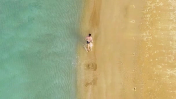 Dron pohled atletický muž běží bos na pláži oceánu. Horní pohled běžec turista — Stock video