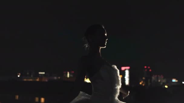 실루엣은 발레 나이트 시티의 유연 한 발레리나 춤이다. 여자 무용수를 준비 한다. — 비디오