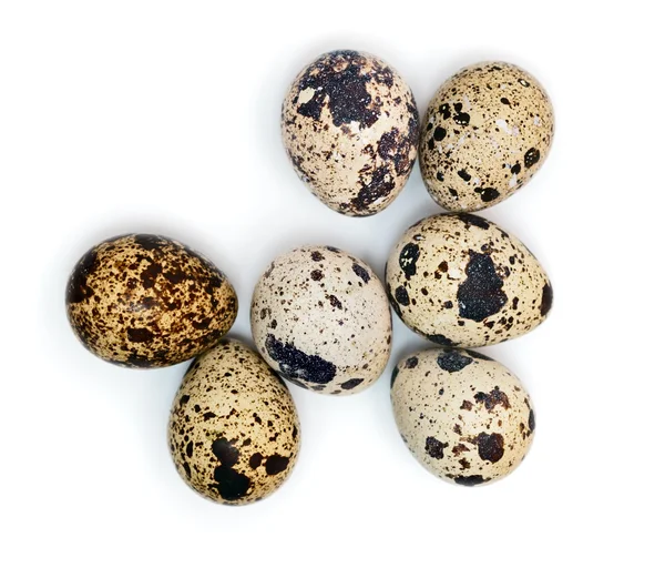 Quail eggs — Stock Photo, Image