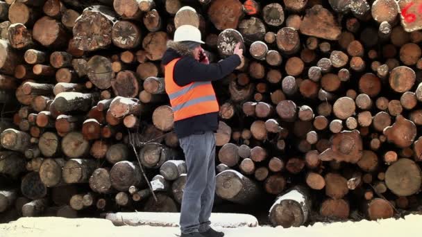 Engineer talking on the smartphone near to piles of logs in winter — Stock Video