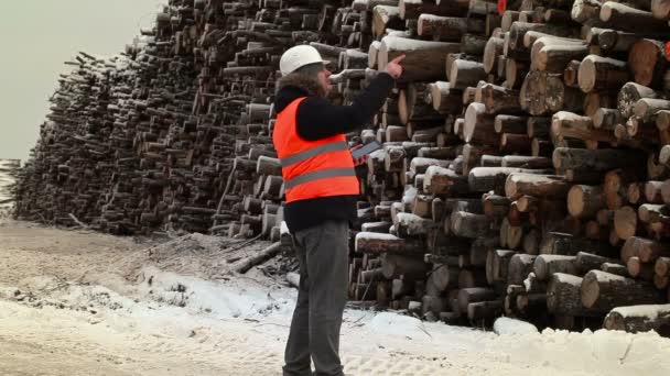 Ingeniero usando tablet PC cerca de montones de troncos en invierno — Vídeos de Stock