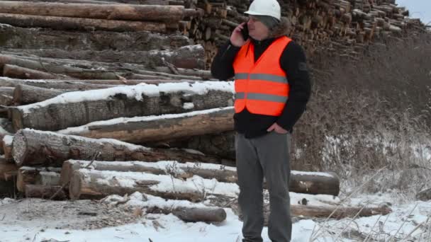 Engineer talking on the smartphone near to piles of logs — Stock Video