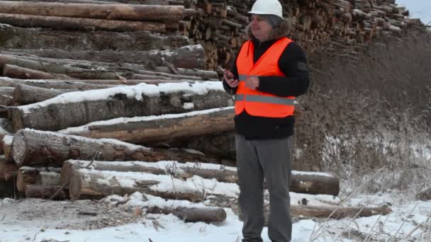 Engineer using tablet PC near to piles of logs — Stock Video