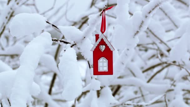 Kartonnen huis in het rood op besneeuwde bush — Stockvideo