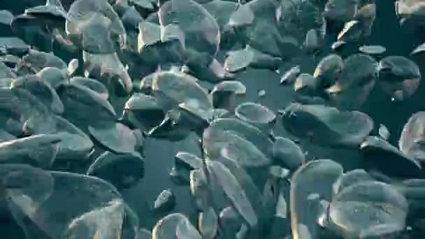 Streszczenie pływające kawałki w kolorze niebieskim — Wideo stockowe