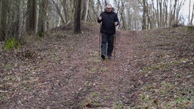 Ormanda yürüyüş uzun yürüyüşe çıkan kimse