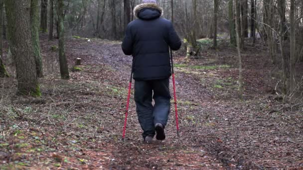 Wandelaar wandelen naar de heuvel — Stockvideo