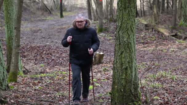 Kiránduló, séta az erdőben — Stock videók