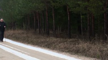 Uzun yürüyüşe çıkan kimse forest yakınındaki yolda
