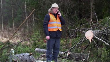 Ladin smartphone tahrip ormandaki konuşurken orman Müfettiş