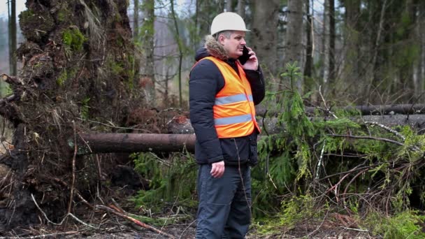 Inspetor florestal com smartphone perto da árvore na floresta destruída — Vídeo de Stock