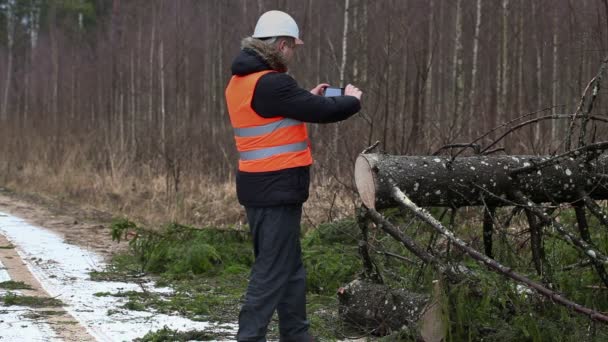 Лісовий інспектор у зруйнованому лісі на ялині — стокове відео