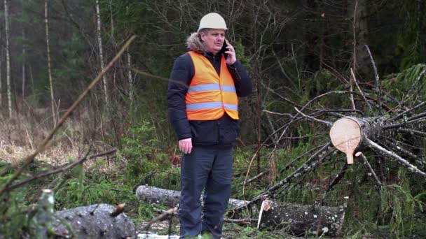 Forest inspecteur praten over smartphone in de verwoeste bos bij spar — Stockvideo