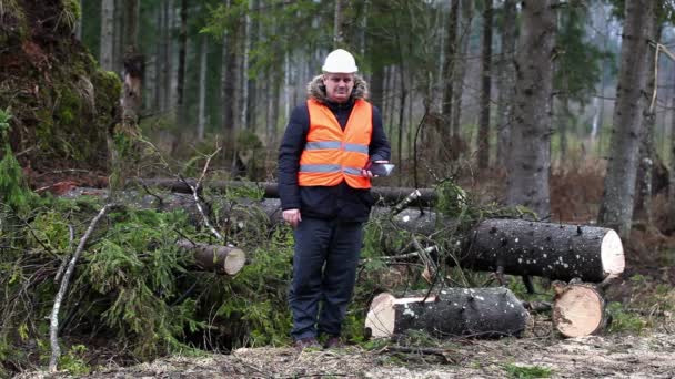 Roztržitý lesní inspektor v zničeného lesa — Stock video