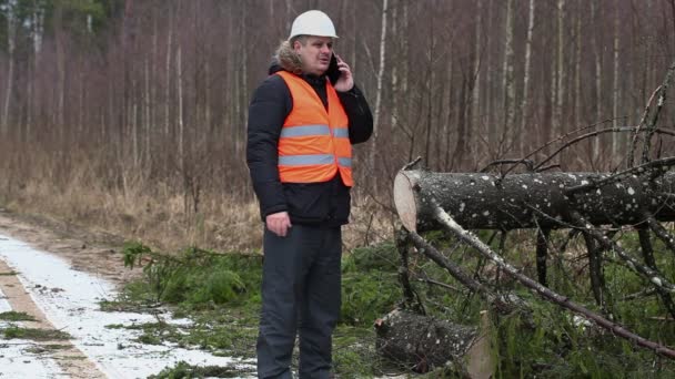 Bosque hablando por teléfono celular cerca de abeto en carretera forestal — Vídeos de Stock