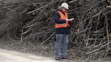 Müfettiş konuşurken orman ve sawed yığın Bush yakınındaki jestleri göster