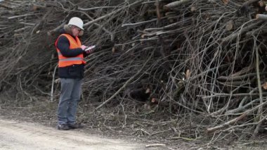 Orman Müfettiş Tablet PC'ye yakınındaki sawed yığın Bush kullanma