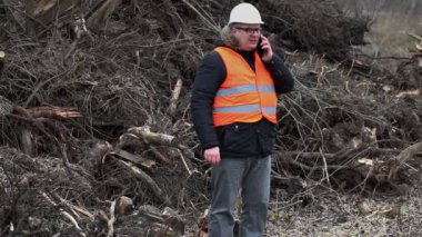Orman Müfettiş sawed yığın çalılar ve suşların yakın smartphone cep telefonu ile konuşmak