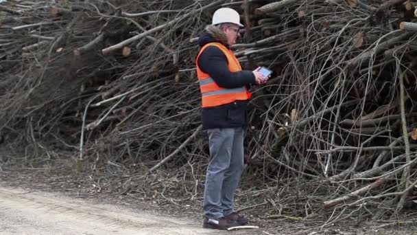 Forest inspector filmed with tablet PC near to pile sawed bushes — Stock Video