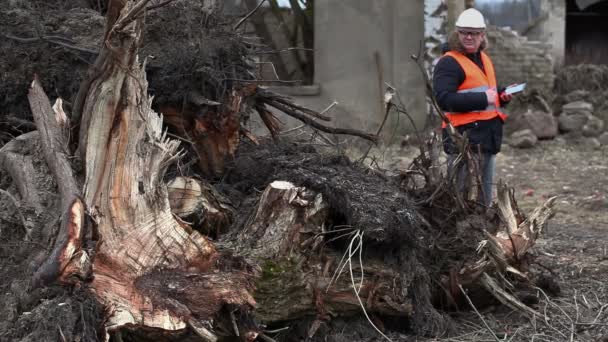 Bauaufsicht überprüfte Gelände — Stockvideo