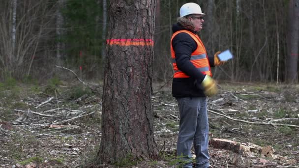 Wütender Forstinspektor telefoniert mit Smartphone am letzten Baum im gerodeten Wald — Stockvideo