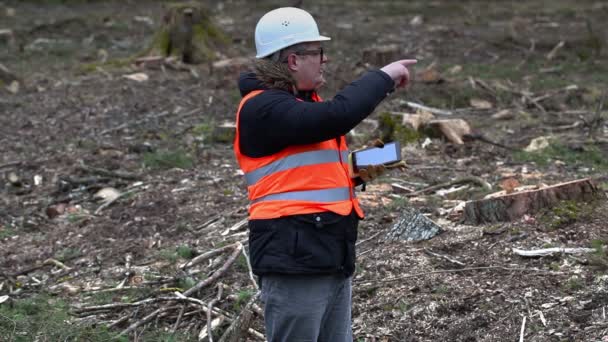 Lesní inspektor pomocí počítače tablet Pc na vymazané forest — Stock video