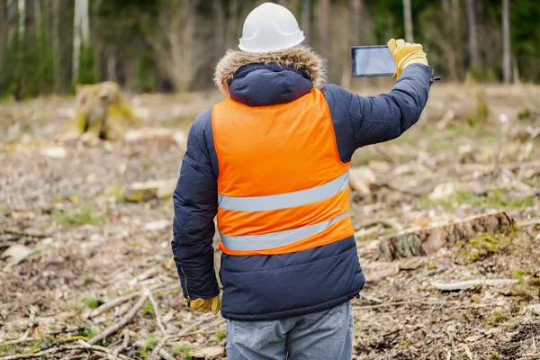 Forest inspector with tablet PC filmed clearcutting forest — Stock Photo, Image