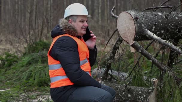 Bosque hablando en el teléfono celular cerca de abeto — Vídeos de Stock