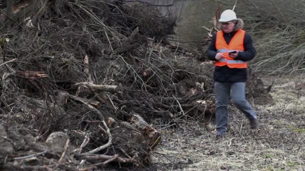 Skogen inspektör med tablet Pc högen sågade buskar och stammar — Stockvideo