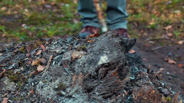 Högen av brinnande lämnar — Stockvideo