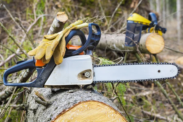 Chainsaw and gloves on tree — Stock Fotó