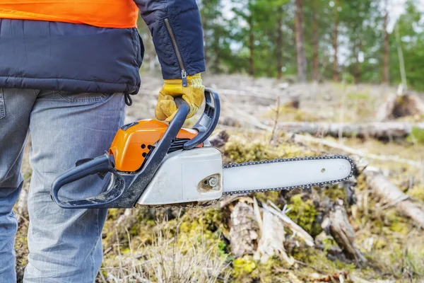 Lumberjack with chainsaw in wood — Stock Photo, Image